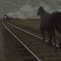 horse and traIN